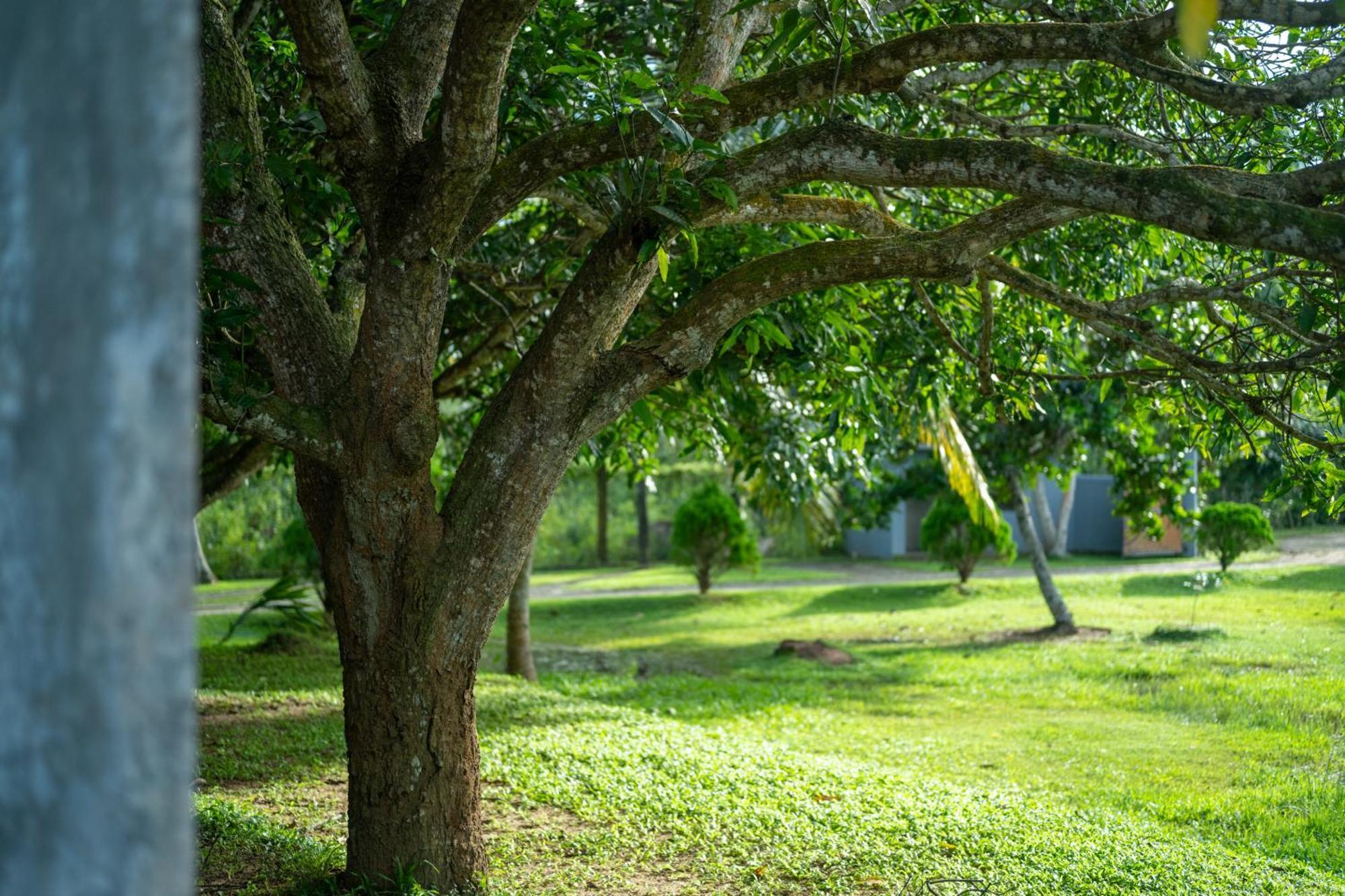 Bussa Wirdana Resort & Spa מראה חיצוני תמונה